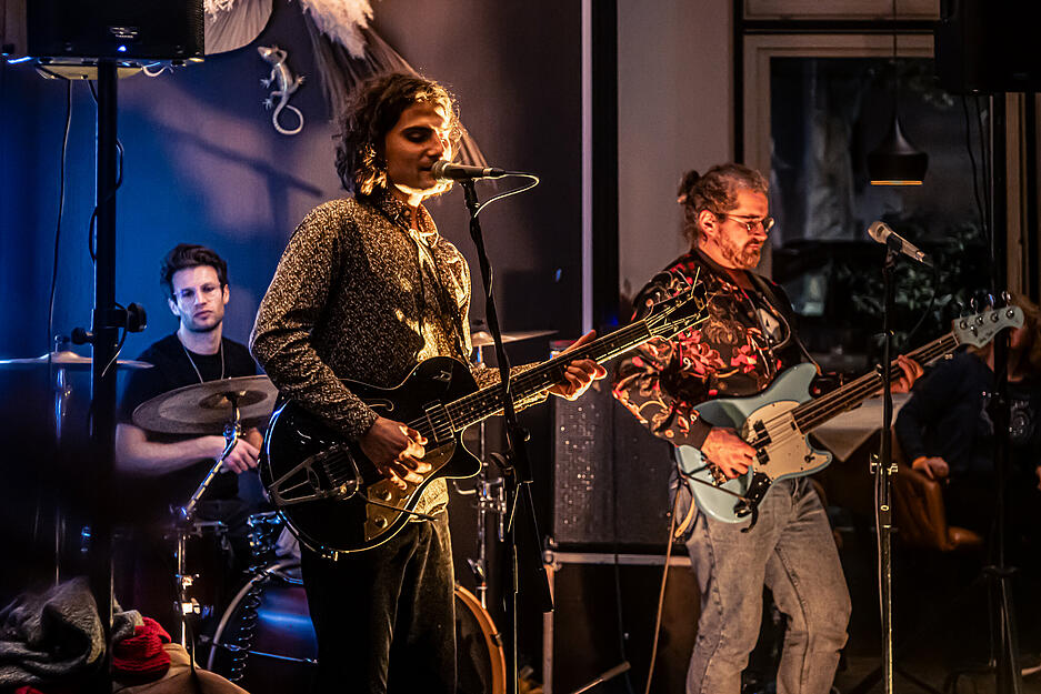 Die bei der Heilbronner Live-Nacht auftretenden Künstler präsentieren unterschiedliche musikalische Genres. Die bei der Heilbronner Live-Nacht auftretenden Künstler präsentieren unterschiedliche musikalische Genres.