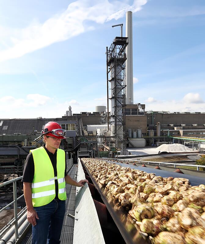 SüdzuckerWerk Offenau bleibt bestehen STIMME.de