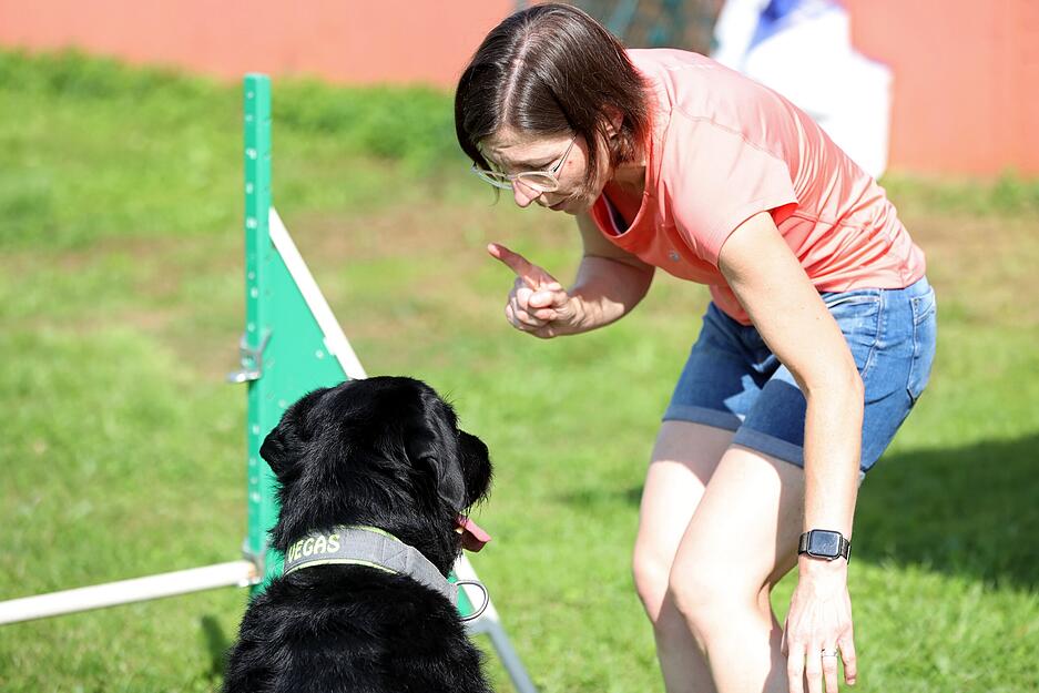Agility Hunde-Training Lesersommer Agility Hunde-Training Lesersommer