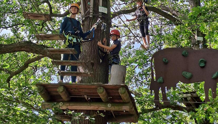 Das ist Abenteuer und Nervenkitzel pur: Der Besuch des Waldkletterparks in Weinsberg geh&ouml;rt zu den beliebten Angeboten im Kinderferienprogramm des Gemeindeverwaltungsverbands.