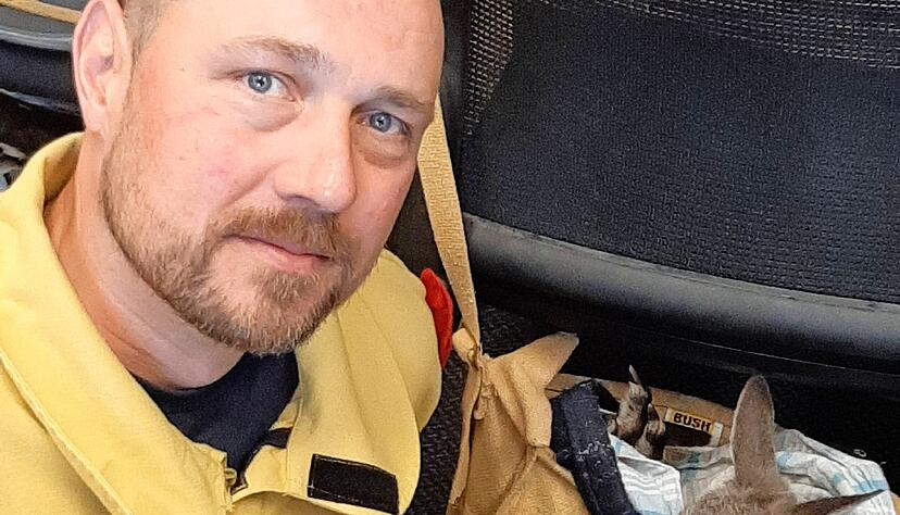 Dieses Foto zeigt den aus Horkheim stammenden Feuerwehrmann Timo Bierlin (44) im Einsatz in Australien mit einem Baby-Känguru, das gerettet wurde.
Foto: privat Dieses Foto zeigt den aus Horkheim stammenden Feuerwehrmann Timo Bierlin (44) im Einsatz in Australien mit einem Baby-Känguru, das gerettet wurde.
Foto: privat
