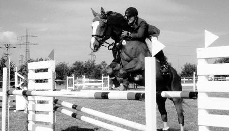 Das M-Springen bildete am Sonntag den Höhepunkt und Abschluss des Hüffenhardter Reitturniers. In entspannter Atmosphäre genossen viele Zuschauer die sportlichen Wettbewerbe. (Foto: Annette Gast-Prior) Das M-Springen bildete am Sonntag den Höhepunkt und Abschluss des Hüffenhardter Reitturniers. In entspannter Atmosphäre genossen viele Zuschauer die sportlichen Wettbewerbe. (Foto: Annette Gast-Prior)