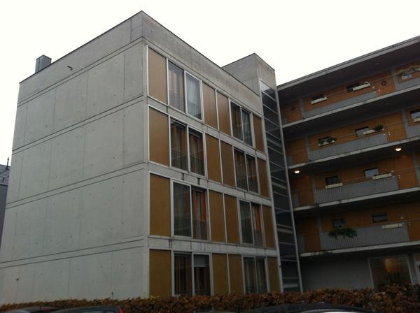 Tötungsdelikt in der Hasengasse | 28.11. Tötungsdelikt in der Hasengasse | 28.11.