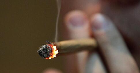 Kein Bedürfnis nach einem Joint: 68 Prozent geben an, Cannabis noch nie konsumiert zu haben. Foto: Oliver Berg