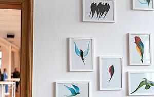 Die Vogel-Darstellungen des Malers Ahmadjan Aminis lieferten die Anregung für die Gewinnergeschichte. Die Vogel-Darstellungen des Malers Ahmadjan Aminis lieferten die Anregung für die Gewinnergeschichte.