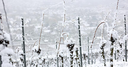 Schnee im April auf dem Wartberg Heilbronn