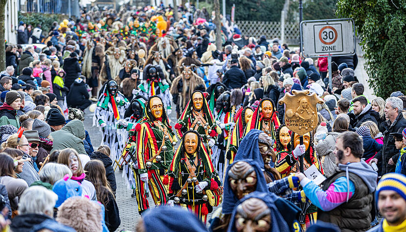 Bunte Kost&uuml;me und viele Zuschauer: Der Faschingsumzug in Brackenheim lockte im vergangenen Jahr zahlreiche Narren in die Innenstadt.