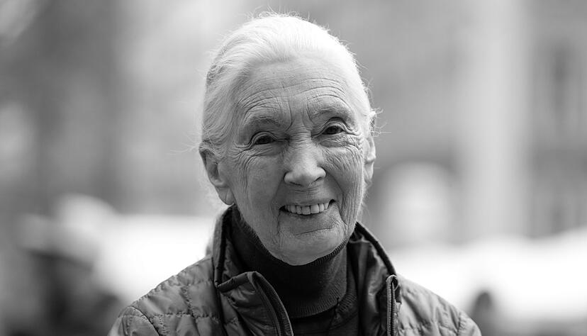 Die britische Schimpansen-Forscherin und Umwelt-Aktivistin Jane Goodall ist tot.
