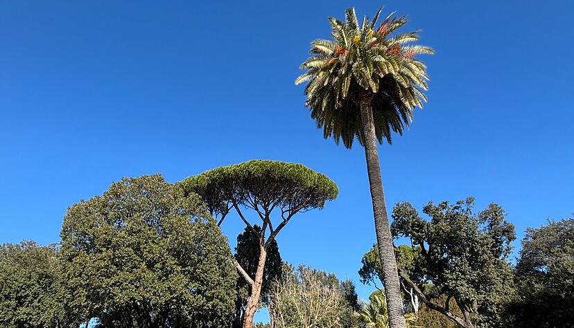 Rom verf&uuml;gt &uuml;ber eine gro&szlig;e botanische Vielfalt.
