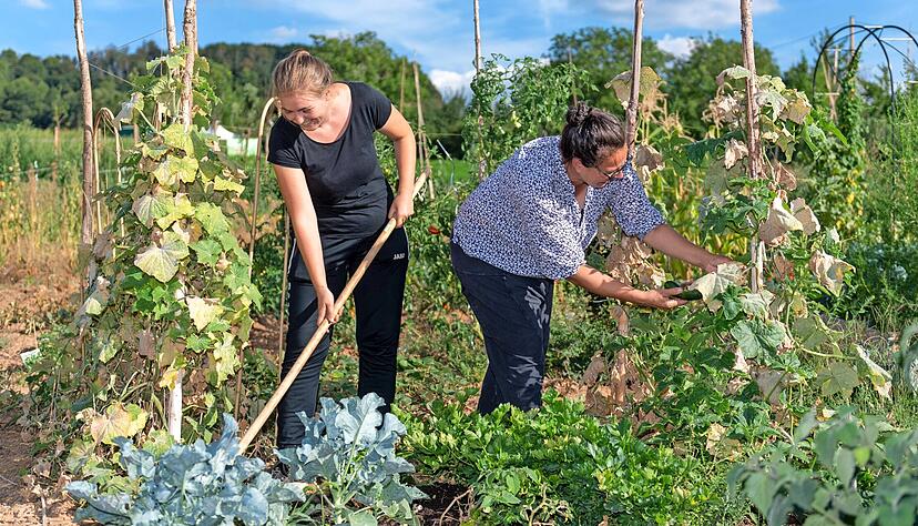 Der zurückliegende Sommer im "Gartenglück", dem ersten Heilbronner Gemeinschaftsgarten im Süden der Stadt, hat den Pionieren eine Menge abverlangt. Insbesondere Wasser musste geschleppt werden.