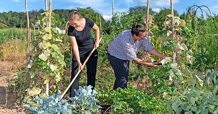 Der zurückliegende Sommer im "Gartenglück", dem ersten Heilbronner Gemeinschaftsgarten im Süden der Stadt, hat den Pionieren eine Menge abverlangt. Insbesondere Wasser musste geschleppt werden.