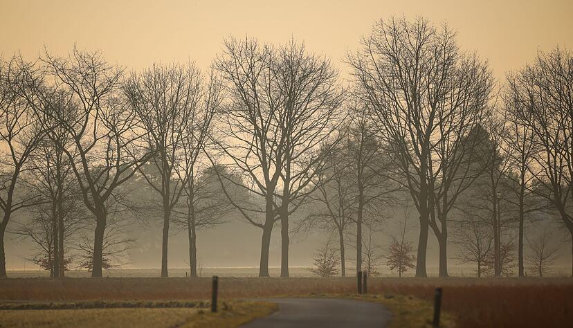 Durch den Saharastaub wird der Himmel grau und die Sonne milchig. (Archivbild)