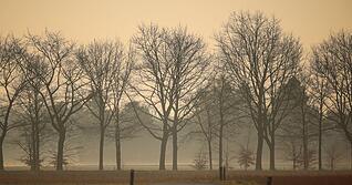 Durch den Saharastaub wird der Himmel grau und die Sonne milchig. (Archivbild)