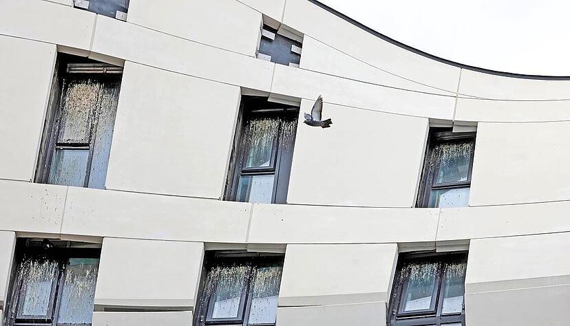 Noch klebt der Tauben-Kot auf den oberen Fenstern des Geschäfts- und Wohnhaus in der Fleiner Straße. In zwei Wochen soll der Spuk ein Ende haben. Noch klebt der Tauben-Kot auf den oberen Fenstern des Geschäfts- und Wohnhaus in der Fleiner Straße. In zwei Wochen soll der Spuk ein Ende haben.