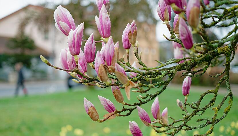 Die Sonne bleibt Baden-W&uuml;rttemberg noch etwas erhalten. (Symbolbild)