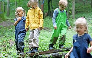 &Uuml;ber St&auml;mme und Bretter balancieren &minus; das k&ouml;nnen die M&auml;dchen und Jungen des Waldkindergartens richtig gut.
Fotos: Ralf Seidel