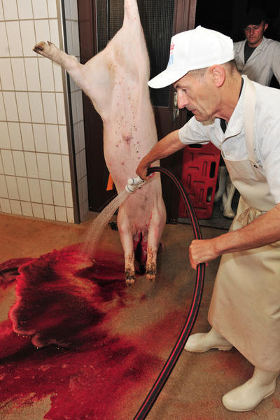 Hausschlachtung | 04.10. Hausschlachtung | 04.10.