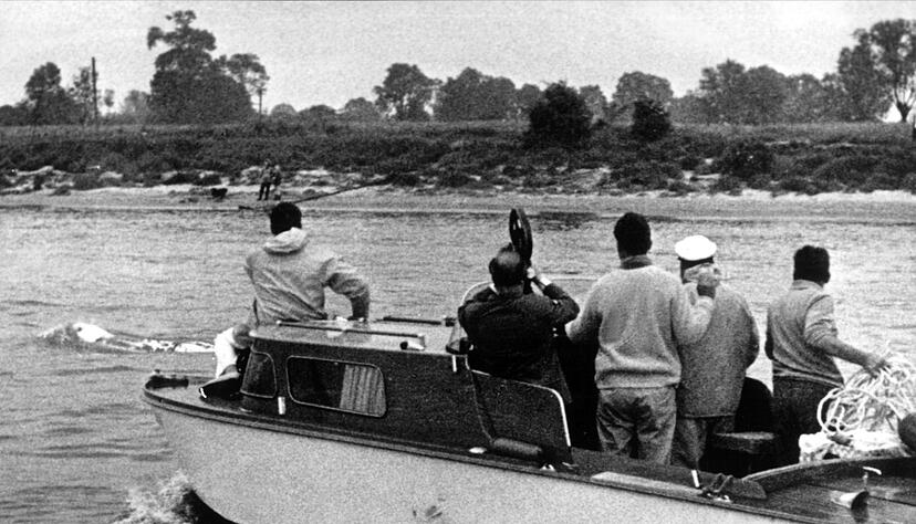 Verschiedene Boote waren tagelang auf der Spur des Wals. (Archivbild)