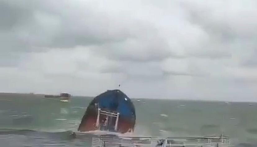 Nach dem Untergang der zwei &Ouml;ltanker werden immer mehr tote Tiere im Schwarzen Meer gefunden. (Handout/Archiv)