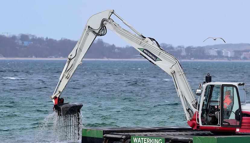 Der Bagger gr&auml;bt eine Rinne f&uuml;r den gestrandeten Wal.
