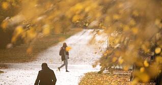 Ein Vater geht mit seinem Kind durch eine herbstliche Allee. Ein Vater geht mit seinem Kind durch eine herbstliche Allee.
