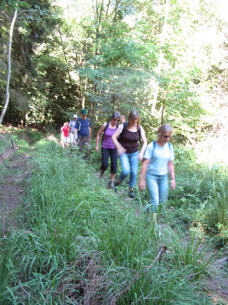 Lesersommer Wanderung