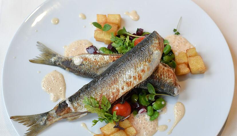 Ganz ohne Panade, dafür mit Röstaromen kann gebratener Hering mit feinen kleinen Beilagen serviert werden, hier mit Favabohnen, Rote Bete und gewürfelten Risoleekartoffeln. Ganz ohne Panade, dafür mit Röstaromen kann gebratener Hering mit feinen kleinen Beilagen serviert werden, hier mit Favabohnen, Rote Bete und gewürfelten Risoleekartoffeln.
