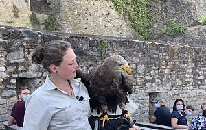 Die Flugshow mit Falknerin Leonie Hilchenbach ist ein Highlight zum Schluss.
