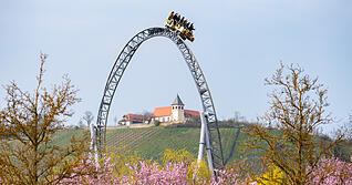 Auf welchen Platz schafft es der Erlebnispark Tripsdrill im Google-Ranking unter den Freizeitparks.