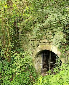 Der Eingang zum Felsenkeller ist romantisch umwuchert von allerlei Grün.