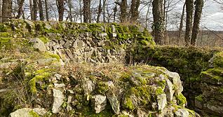 Die Burgruine der Helmat oberhalb vom Herrenhölzle. Die Burgruine der Helmat oberhalb vom Herrenhölzle.