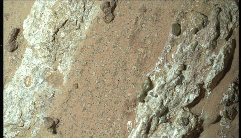 Eine vom Nasa-Rover «Perseverance» im vergangenen Jahr auf dem Mars entnommene Gesteinsprobe könnte nach Angaben der US-Raumfahrtbehörde möglicherweise Spuren von früherem mikrobiellen Leben enthalten. Eine vom Nasa-Rover «Perseverance» im vergangenen Jahr auf dem Mars entnommene Gesteinsprobe könnte nach Angaben der US-Raumfahrtbehörde möglicherweise Spuren von früherem mikrobiellen Leben enthalten.