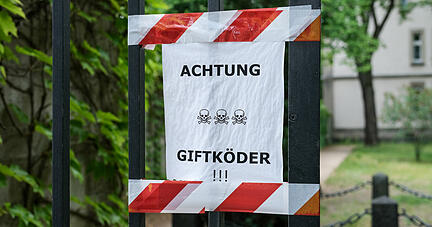 Ein Zettel mit der Aufschrift "Achtung Giftköder" ist am Eingang zum Invalidenfriedhof in Mitte angebracht. Hunde leben gefährlich. So wirkt es zumindest. Ständig hört man von vergifteten Leckerlis in Parks und auf Grünstreifen - dank sozialer Medien und Warn-Apps. (zu dpa "Gift und Rasierklingen - Mehr Attacken auf Hunde?") +++ dpa-Bildfunk +++