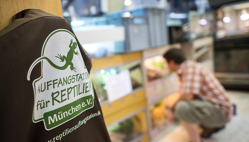 In der Auffangstation f&uuml;r Reptilien sollen die Schlangen jetzt aufgep&auml;ppelt werden - wenn es daf&uuml;r nicht zu sp&auml;t ist (Archivbild).