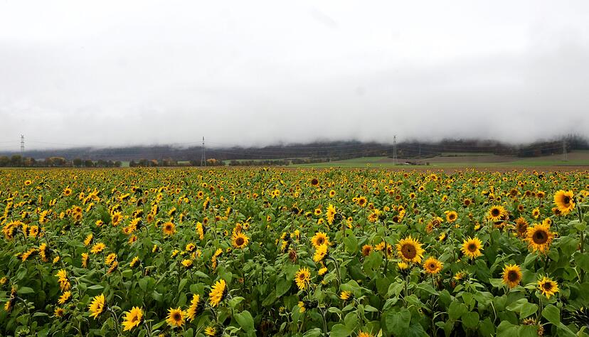 Nebelfelder können Sonnenanbetern einen Strich durch die Rechnung machen. Nebelfelder können Sonnenanbetern einen Strich durch die Rechnung machen.