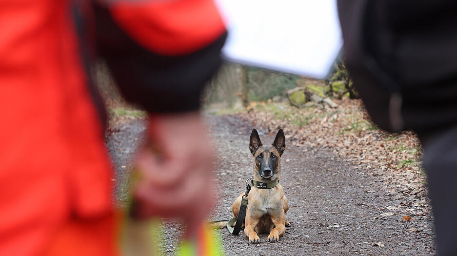 F&uuml;r solche F&auml;lle bildet der BRH, der Bundesverband der Rettungshunde, regelm&auml;&szlig;ig Hunde aus, die im Ernstfall Menschen in riesigen Gebieten aufsp&uuml;ren, und so oft Menschenleben retten k&ouml;nnen.