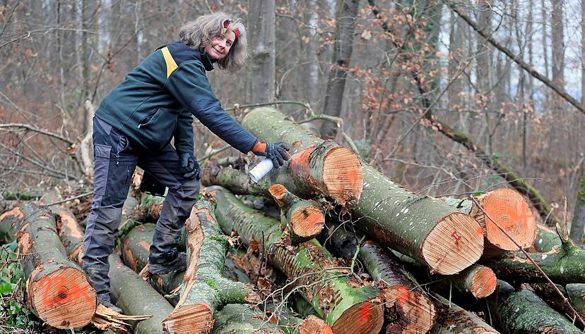 Die Ilsfelder Revierförsterin Maike Muth markiert Brennholz. Am 15. Dezember findet in der Schozachtalhalle eine Versteigerung statt.
Foto: Ralf Seidel