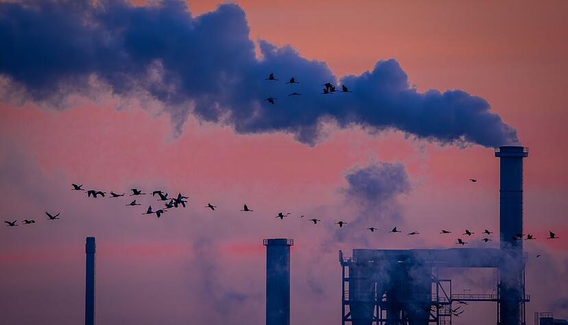 Die deutsche Industrie hat 2025 mehr als 120.000 Stellen abgebaut. 2026 werden weitere Folgen. Die deutsche Industrie hat 2025 mehr als 120.000 Stellen abgebaut. 2026 werden weitere Folgen.