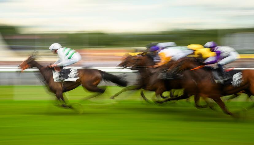 Mit Plänen für höhere Wettsteuern bringt die Pariser Regierung die Reitsportbranche gegen sich auf (Archivbild). Mit Plänen für höhere Wettsteuern bringt die Pariser Regierung die Reitsportbranche gegen sich auf (Archivbild).