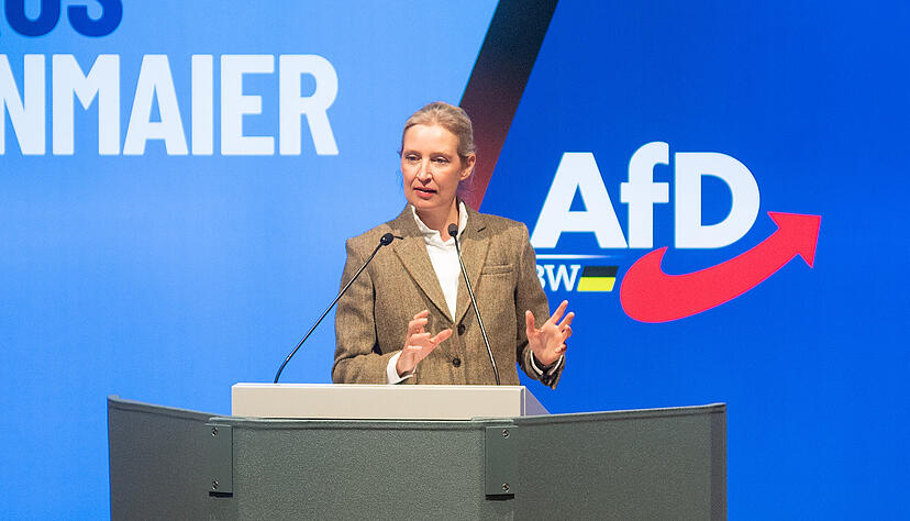 Die AfD-Bundesvorsitzende Alice Weidel am Donnerstagabend in der Heilbronner Harmonie. Rund 40 Minuten dauerte ihr Auftritt.