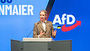 Die AfD-Bundesvorsitzende Alice Weidel am Donnerstagabend in der Heilbronner Harmonie. Rund 40 Minuten dauerte ihr Auftritt.