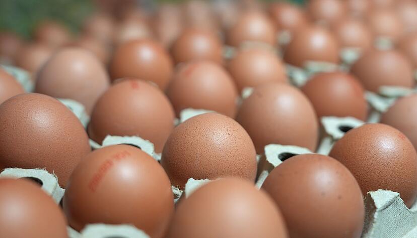 In manchen Lebensmittell&auml;den sind sie gerade Mangelware: Eier. (Symbolbild)
