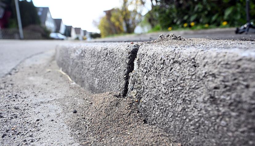 Die Bundesländer pochen im Kampf gegen invasive Tierarten auf Handlungsspielraum. (Archivbild) Die Bundesländer pochen im Kampf gegen invasive Tierarten auf Handlungsspielraum. (Archivbild)