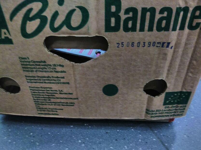 Das Tier befand sich in einem Karton Bio-Bananen aus der Dominikanischen Republik. Das Tier befand sich in einem Karton Bio-Bananen aus der Dominikanischen Republik.