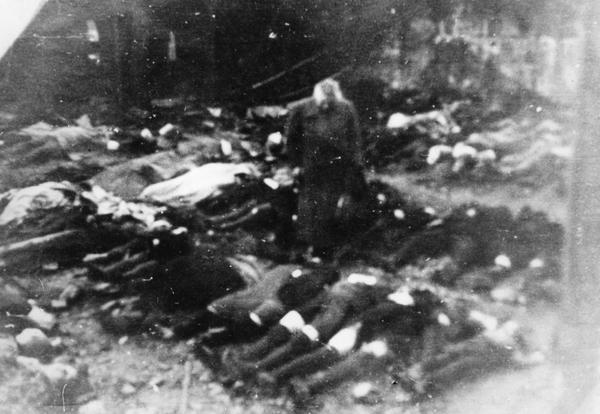 Die Zahl der Toten wird auf "mehr als 6500" geschätzt, die 95 getöteten Piloten der britischen Luftwaffe sind darin nicht enthalten. Rosa Bruder aus Ellwangen hat in der Lammgasse die Leichen ihrer Heilbronner Verwandeten entdeckt.