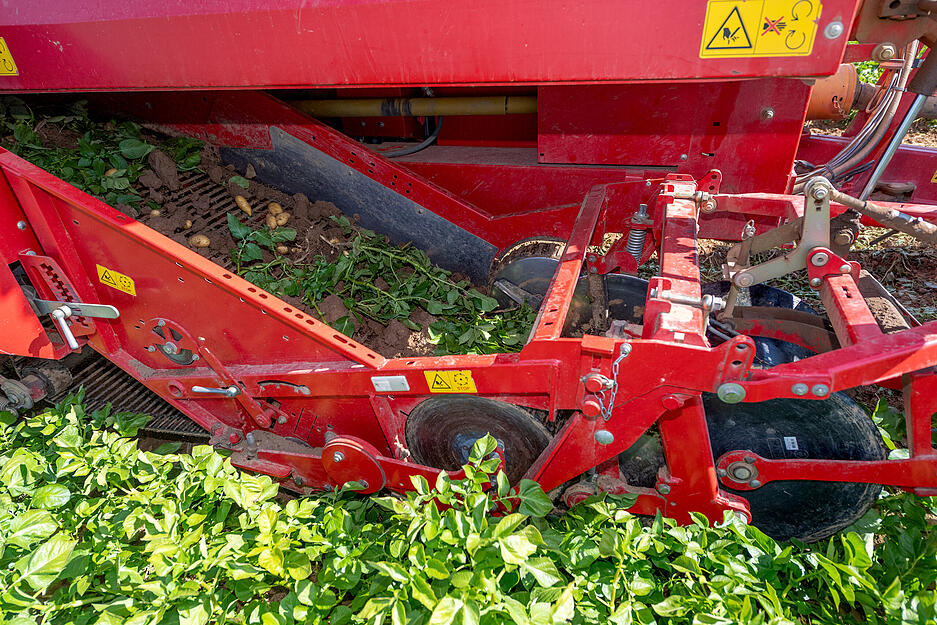Bis eine Kartoffel geerntet wird, bedarf es rund 170 Arbeitsstunden pro Hektar Anbaufl&auml;che.&nbsp;