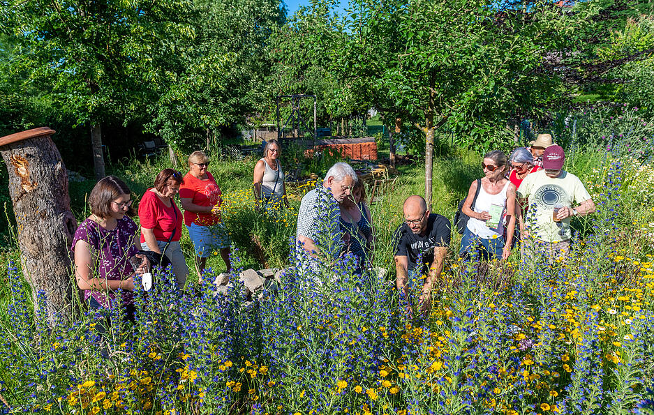 XXL-Lesersommer: Naturgartenbesuch bei Heimatreporter Magnus Diller in Oedheim