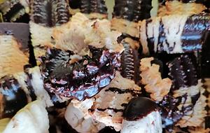 Die Wurzel allen &Uuml;bels: zu viel leckeres Weihnachtsgeb&auml;ck.