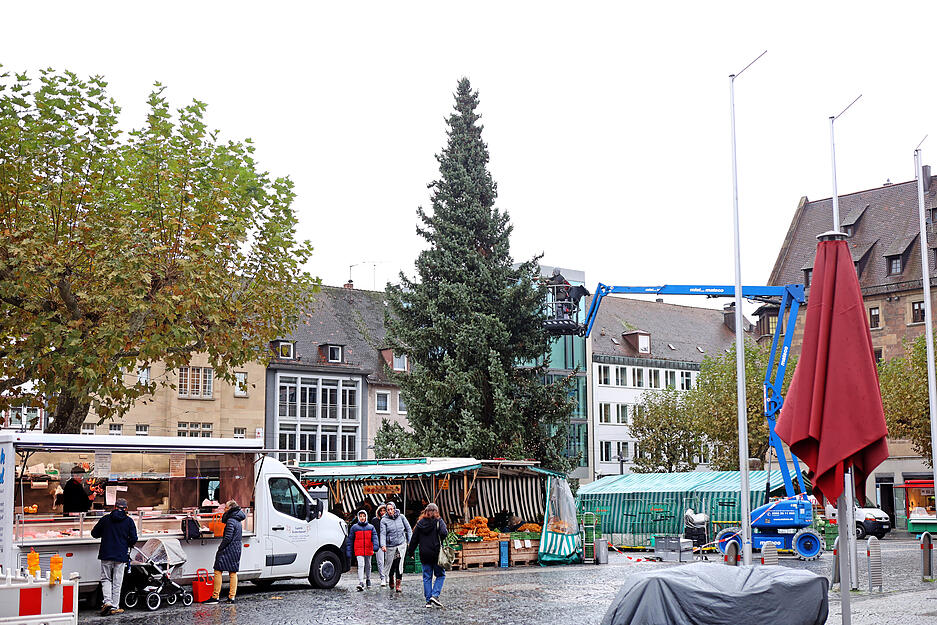 Weihnachtsbaum auf Heilbronner Marktplatz aufgestellt