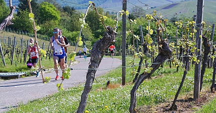 Am 08. Mai 2022 soll der Trolli stattfinden - wenn auch ohne Marathonstrecke.